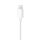 APPLE EarPods ze złączem Lightning MMTN2ZM/A - 329676 - zdjęcie 5